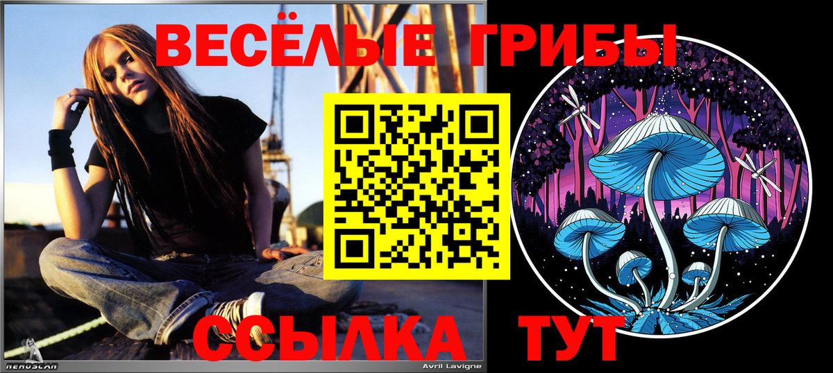 Галлюциногенные грибы мицелий Аша
