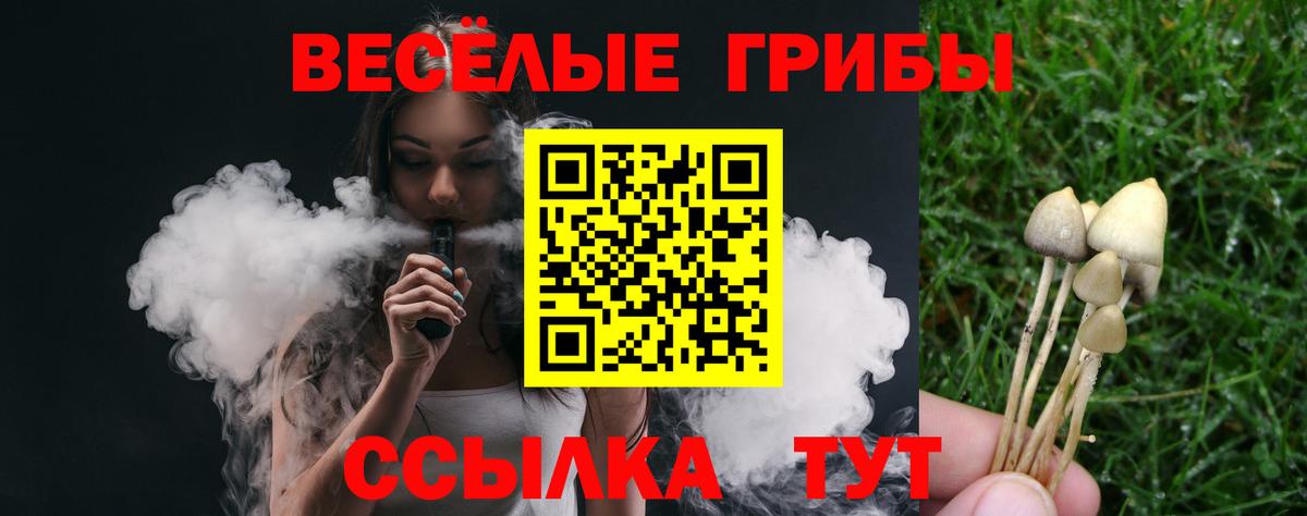 сколько стоит  Псилоцибиновые грибы Psilocybe  Вход с VPN  Аша 